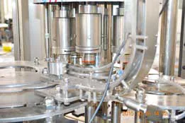 Bottle platforms beneath the cooking oil filling heads
