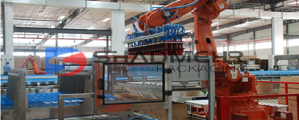 Robot encasing machine